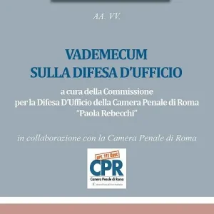Offerta Del Giorno Vademecum sulla difesa d‘ufficio