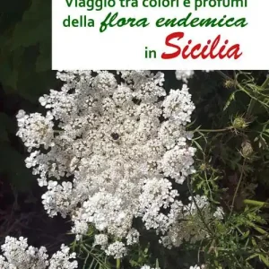 Viaggio tra colori e profumi della flora endemica in Sicilia Solo Oggi