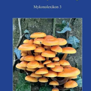 Gli odori e i sapori dei funghi. Ediz. illustrata Nuovo Arrivo