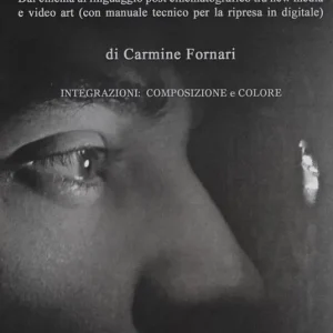 Lettera a uno studente di cinema. Dal cinema al linguaggio post cinematografico tra new media e video art (con manuale tecnico per la ripresa in digitale) Professionale