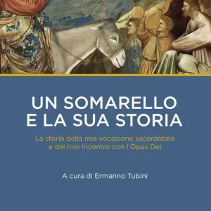 Un somarello e la sua storia. La storia della mia vocazione sacerdotale e del mio incontro con l‘Opus Dei Prezzo Conveniente