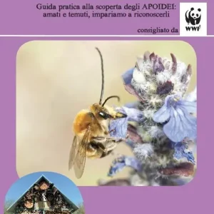 Le altre api. Guida pratica alla scoperta degli apoidei amati e temuti, impariamo a riconoscerli Bestseller