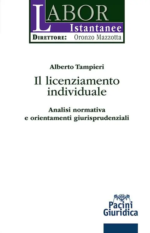Il licenziamento individuale. Analisi normativa e orientamenti giurisprudenziali Professionale