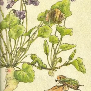 Must-Have Il viola delle violette