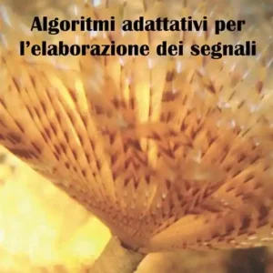Esclusivo Algoritmi adattivi per l‘elaborazione dei segnali