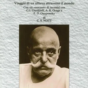 Insegnamenti di Gurdjieff. Viaggio di un allievo attraverso il mondo Compra Adesso