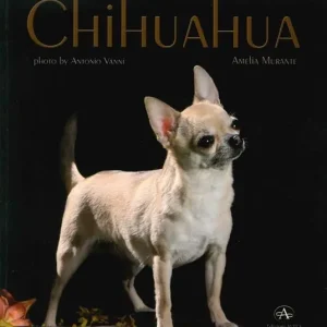 Chihuahua Prezzo Conveniente