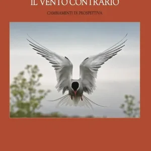 Prezzo Di Fabbrica Il vento contrario. Cambiamenti di prospettiva