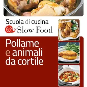 Pollame e animali da cortile Offerta Speciale