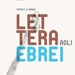 Nuova Collezione La lettera agli Ebrei. Introduzione e commento