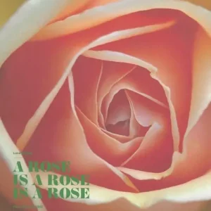 A rose is a rose is a rose. Rose Barni dal 1882. Ediz. italiana e ingl Offerta Speciale