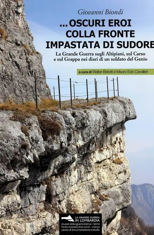 Saldi ... Oscuri eroi colla fronte impastata di sudore. La Grande Guerra sugli altipiani, sul Carso e sul Grappa nei diari di un soldato del Genio. Con Materiale cartografico