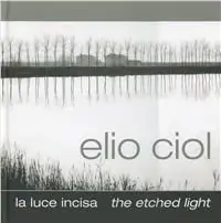 La luce incisa-The etched light Solo Oggi