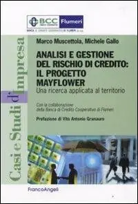 Analisi e gestione del rischio di credito. Il progetto Mayflower. Una ricerca applicata al territorio Vendita Finale