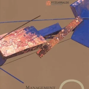 Reso Gratuito Management culturale e formazione. Atti del convegno (Torino). Con DVD