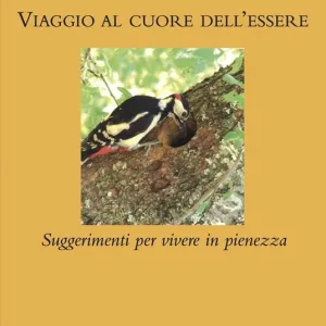 Viaggio al cuore dell‘essere. Suggerimenti per vivere in pienezza Promozione