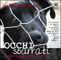 Occhi sbarrati. Reportage dal canile Soddisfatti O Rimborsati
