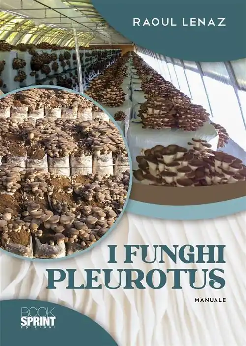 I funghi Pleurotus Ultimissimo Modello