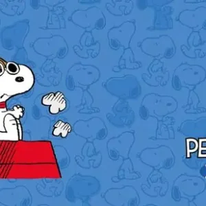 Compra Oggi Stesso Peanuts. Agenda orizzontale 2024