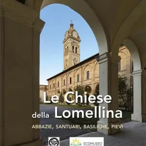 Le chiese della Lomellina. abbazie, santuari, basiliche, pievi. Ediz. italiana e inglese Occasione