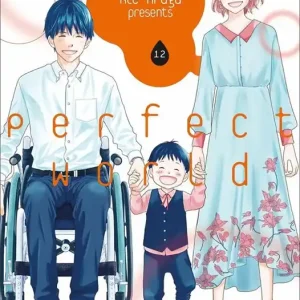 Solo Oggi Perfect world. Vol. 12