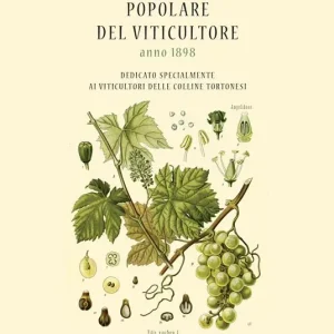 Pagamento Sicuro Manualetto popolare del viticultore dedicato specialmente ai viticultori delle colline tortonesi (rist. anast. 1898)