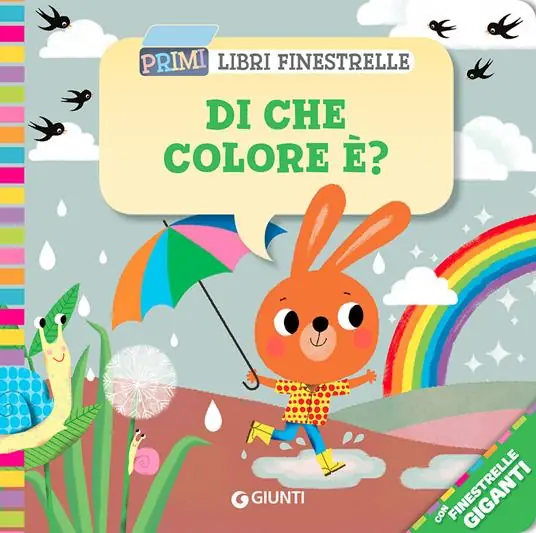 Di che colore è? Ediz. a colori Miglior Prezzo