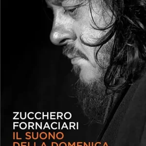 A Buon Prezzo Il suono della domenica. Il romanzo della mia vita