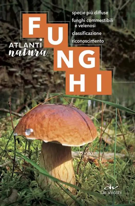 Funghi. Specie più diffuse, funghi commestibili e velenosi, classificazione, riconoscimento Scelto Dai Clienti