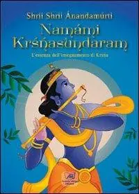 Namámi Krisnasundaram. L‘essenza dell‘insegnamento di Krisnasunbdaram Occasione Imperdibile