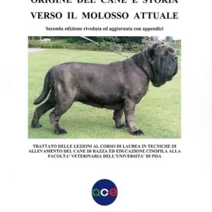 Origine del cane e storia verso il molosso attuale A Buon Prezzo