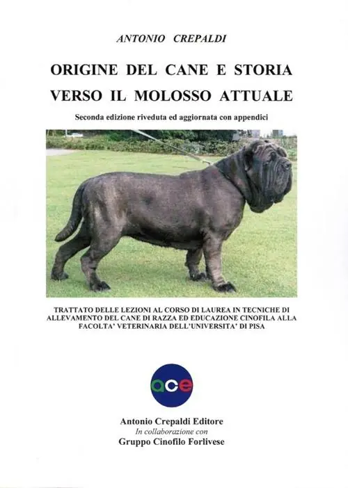 Origine del cane e storia verso il molosso attuale A Buon Prezzo