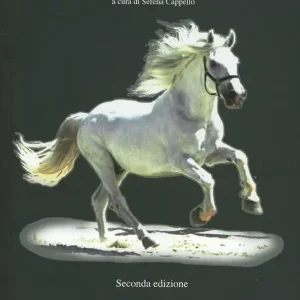 I misteri del cavallo Più Venduto