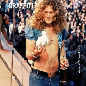 Occasione Imperdibile Led Zeppelin Graffiti