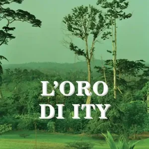 Occasione Imperdibile L‘ oro di Ity
