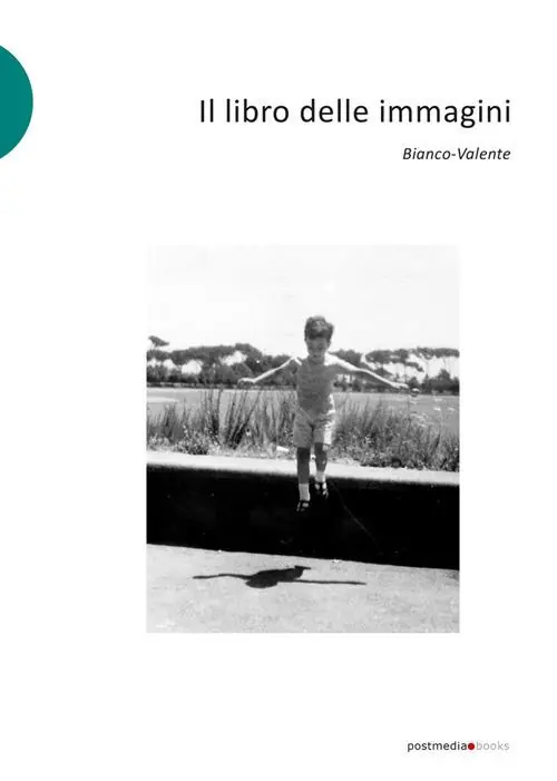 Più Venduto Il libro delle immagini. Ediz. illustrata