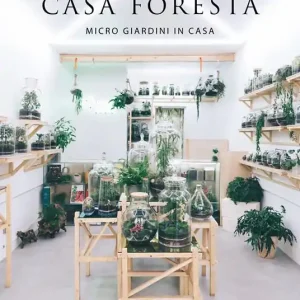 Super Prezzo Casa foresta. Micro giardini in casa. Ediz. illustrata