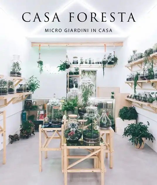 Super Prezzo Casa foresta. Micro giardini in casa. Ediz. illustrata