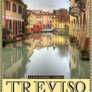 Affare Treviso meravigliosa. Storie quotidiane della città gioiosa