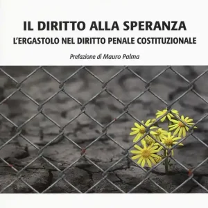 Compra Online Il diritto alla speranza. L‘ergastolo nel diritto penale costituzionale