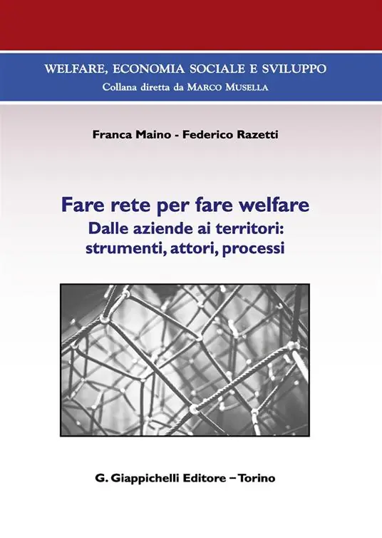 Fare rete per fare welfare. Dalle aziende ai territori strumenti, attori, processi Promozione