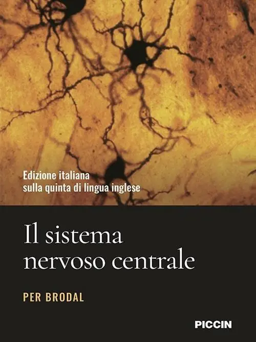 A Buon Prezzo Il sistema nervoso centrale