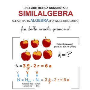 Prezzo Basso Dall‘aritmetica concreta o similalgebra all‘astratta algebra (formule risolutive). Fin dalla scuola primaria!