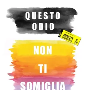 Questo odio non ti somiglia. Omosessualità in divisa Acquista Ora