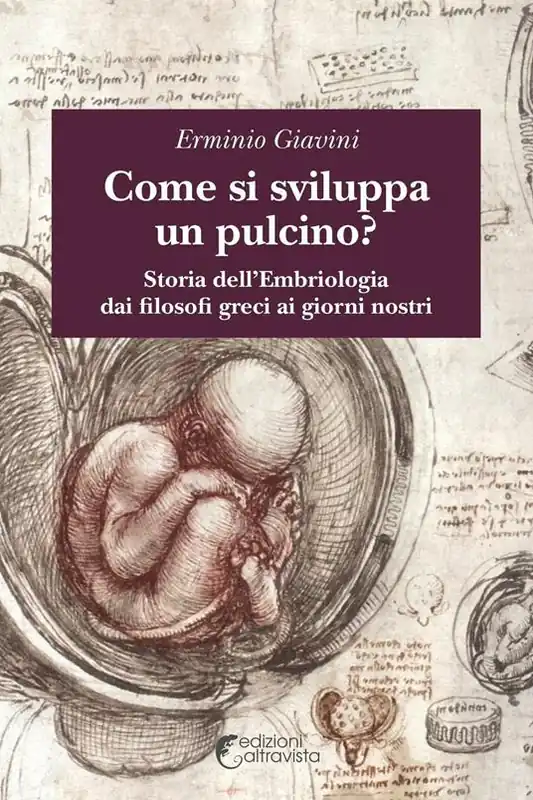 Bestseller Come si sviluppa un pulcino? Storia dell‘embriologia dai filosofi greci ai giorni nostri