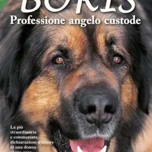Pagamento Sicuro Boris. Professione angelo custode