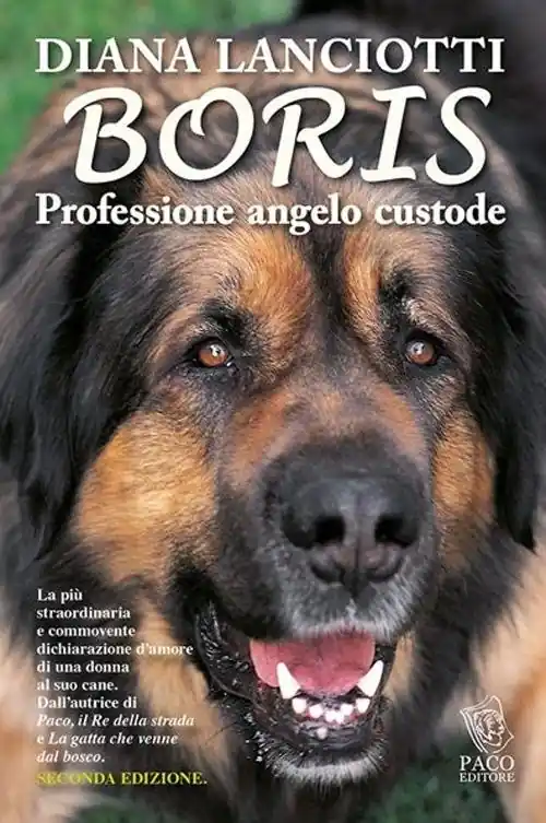 Pagamento Sicuro Boris. Professione angelo custode
