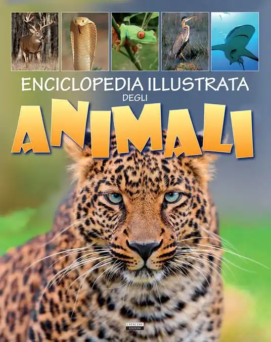Enciclopedia illustrata degli animali Sconto