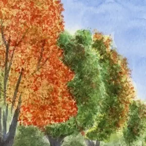 Bestseller Alberi maestri. Piemonte e Valle d‘Aosta