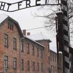 Ordina Subito L‘ultimo bambino di Auschwitz